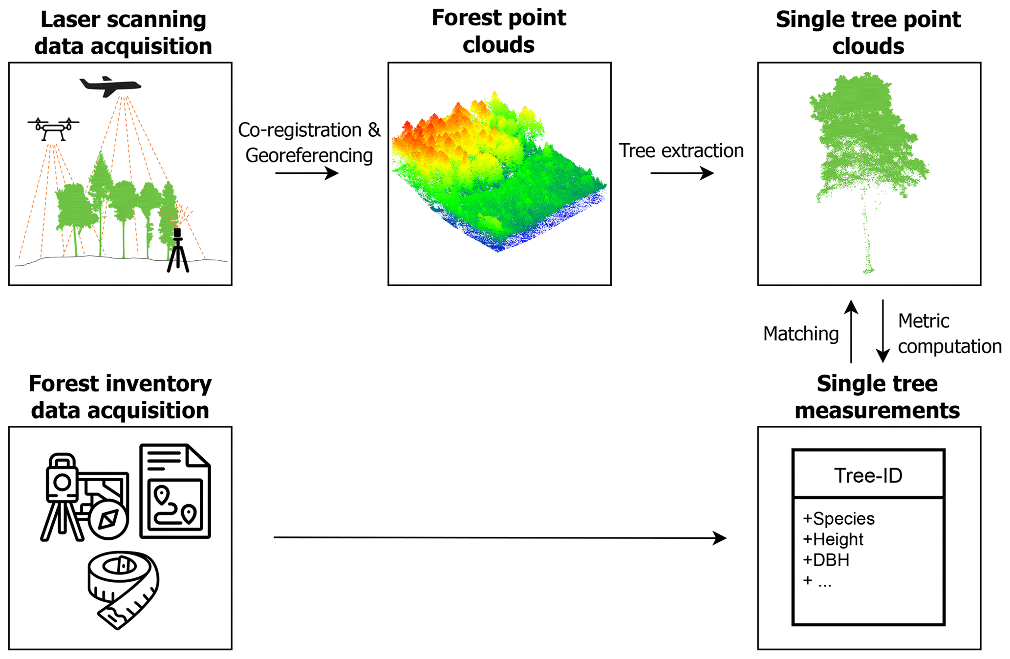 Workflow for the generation of the dataset.